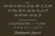 Winter Rhapsody - Calligraphy Font, a Script Font by Subectype Studio (Thumbnail 8 of 9)