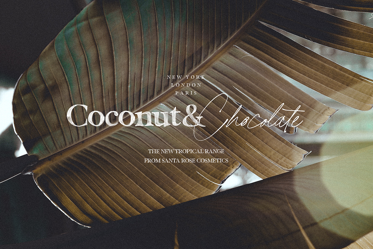 California Palms Fonts & Graphics, a Serif Font by Nicky Laatz (Photo 13 of 48)
