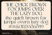 Melfira, a Serif Font by zeenesia (Thumbnail 20 of 22)