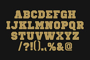 Golden Sport, a Blackletter Font by Fourteen Letter (Thumbnail 7 of 7)