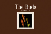 Sharly Elegant Serif Font, a Serif Font by Graphicxell (Thumbnail 3 of 8)