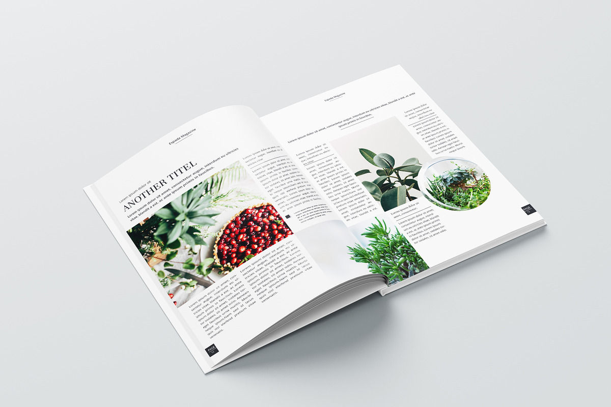 Magazine | Word & InDesign, a Magazine Template by obidullah_01 (Photo 8 of 13)