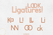 COSMOS Offset Font Duo, a Sans Serif Font by Fancy Malone (Thumbnail 10 of 13)