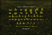 Nicolla Sunfield | Monoline Script, a Script Font by gracetype_studio (Thumbnail 12 of 12)