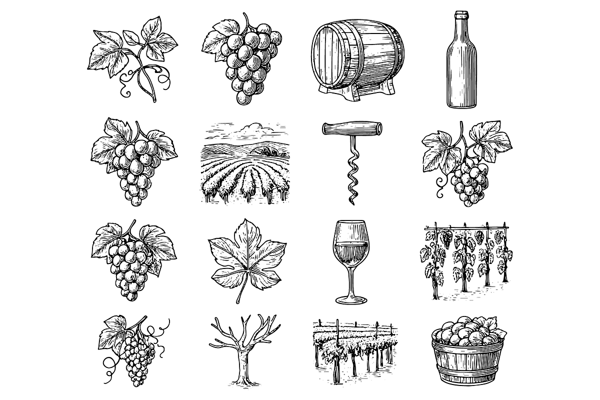 Grape Vineyard  Set, an Object Graphic by RT Studio