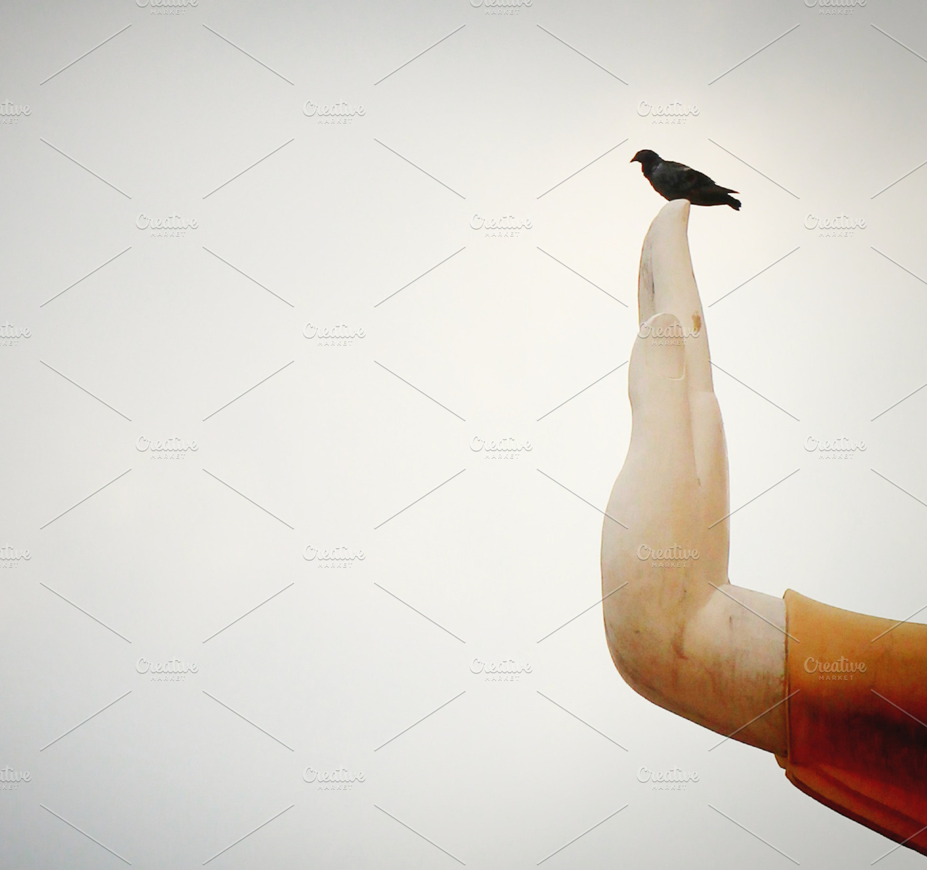 A Pigeons On Hand Of Buddha Statue