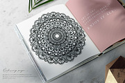 Hand Drawn Mandala Collection, a Decorative Illustration by Alisa Fimen Design (Thumbnail 7 of 11)