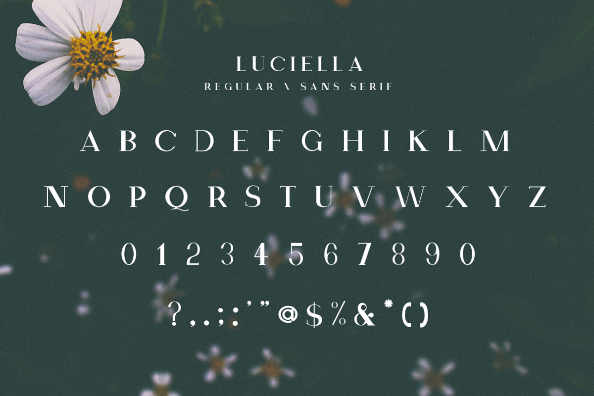 Luciella | A Poetic Font Family preview 7