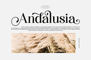 Hostania, a Serif Font by Attract Studio (Thumbnail 2 of 12)