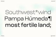 Pampero | Modern Display & Text Sans, a Sans Serif Font by Antipixel Type Studio (Thumbnail 11 of 16)