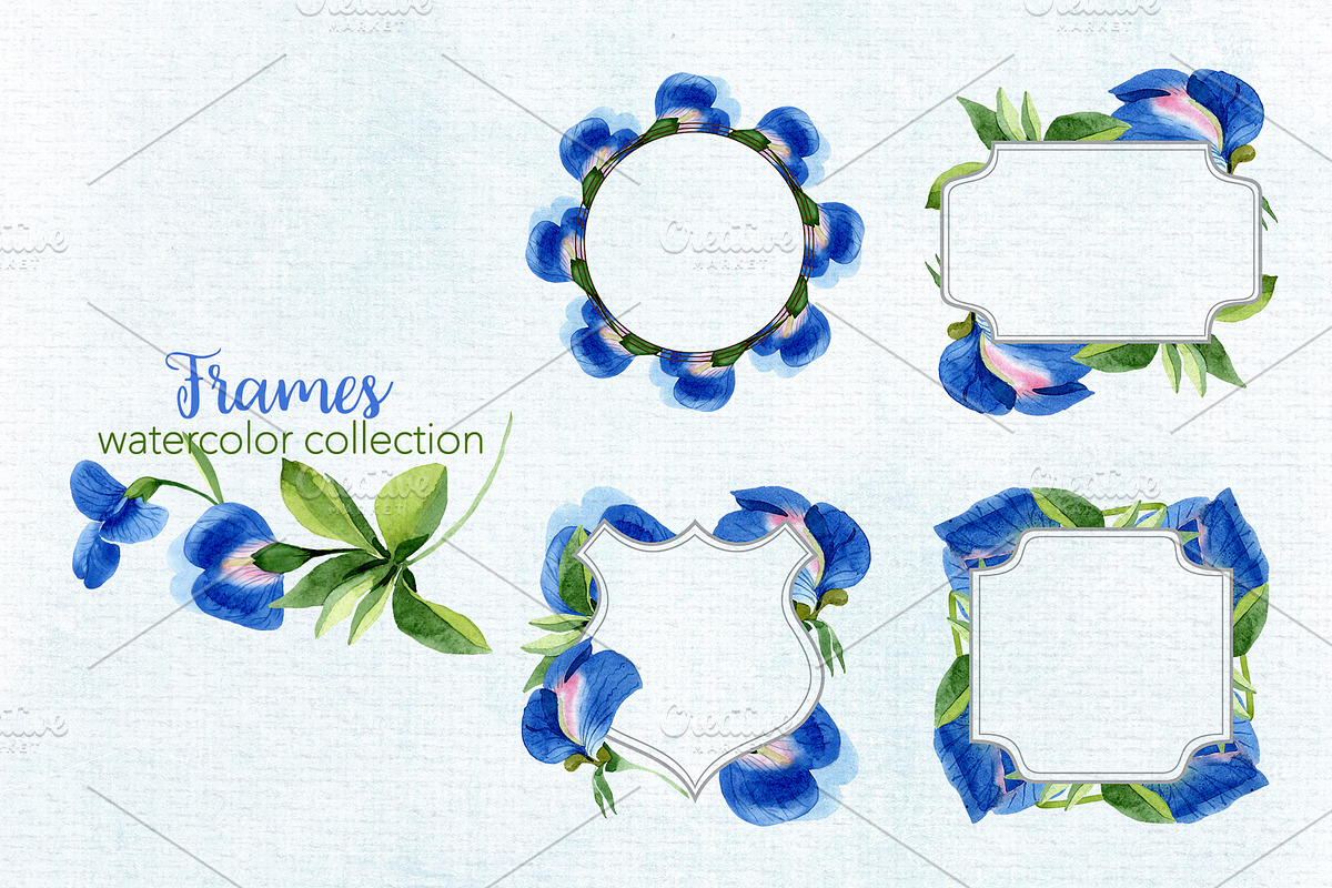 Sweet pea flowers Watercolor png, an Illustration by WatercolorPNG.com (Photo 2 of 10)