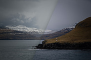 Winter Bundle - 68 Lightroom Presets, an Action Add-On by PhotoMarket (Thumbnail 17 of 39)