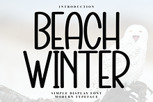 Beach Winter