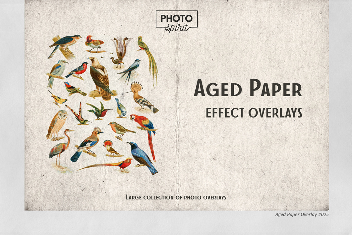 Aged Paper Effect Overlays, a Brushes & More by PhotoSpirit (Photo 1 of 9)