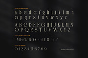 Sinteng – Modern Elegant Serif Font, a Serif Font by Perfectype (Thumbnail 7 of 8)