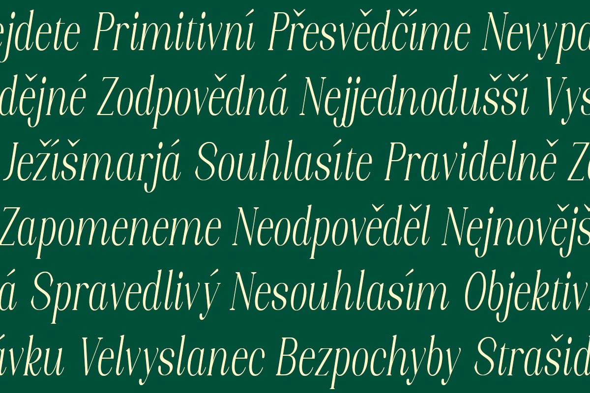 Axerifa Variable, a Serif Font by Slex Studio (Photo 5 of 12)