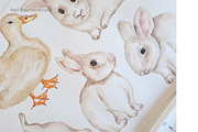 Watercolor Life Cycle Collection, an Education Illustration by MayaNavits (Thumbnail 6 of 15)