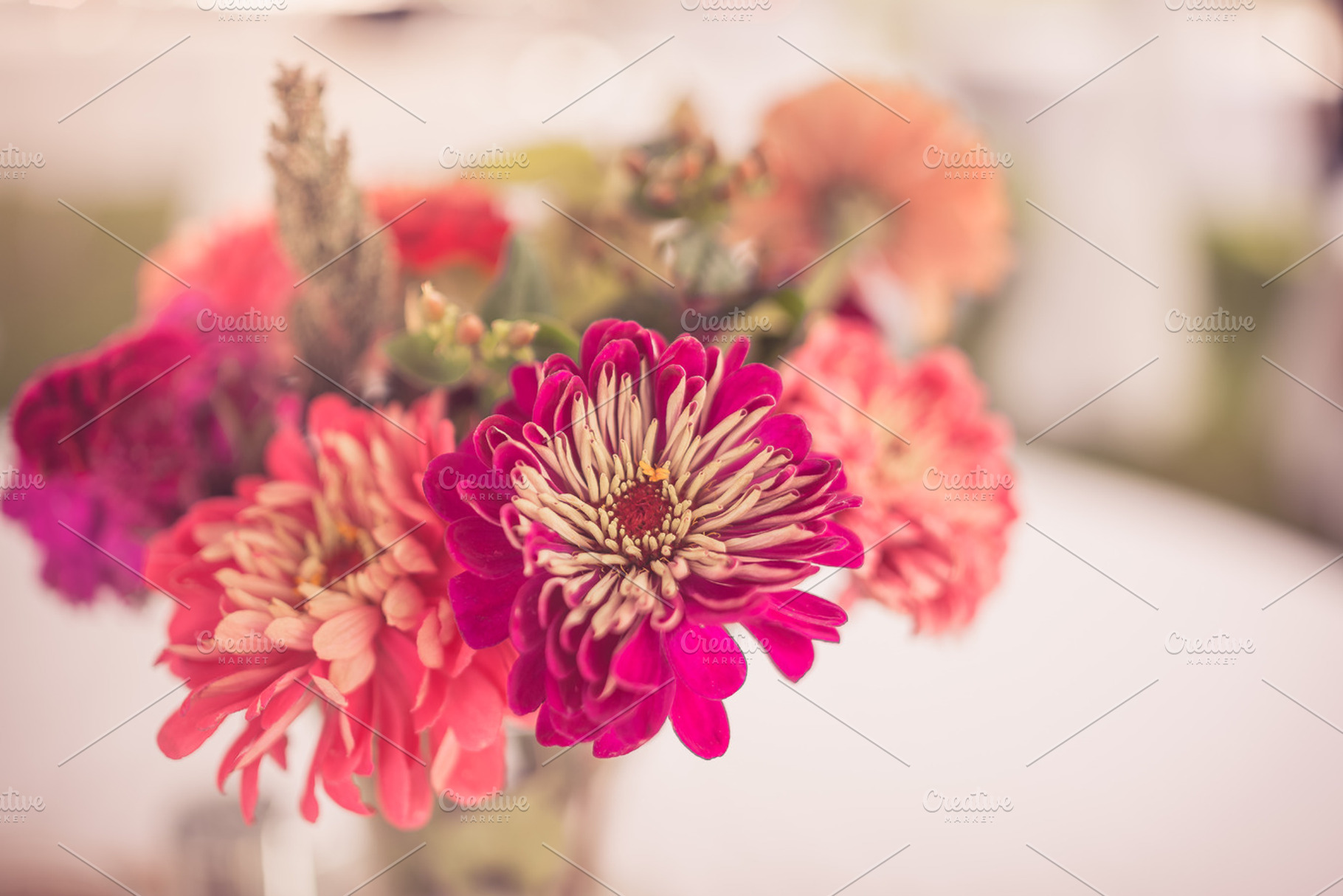 Rustic Gerbera Daisy