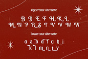 Broken Strings Retro Serif Font, a Serif Font by Heinzel Std (Thumbnail 15 of 15)