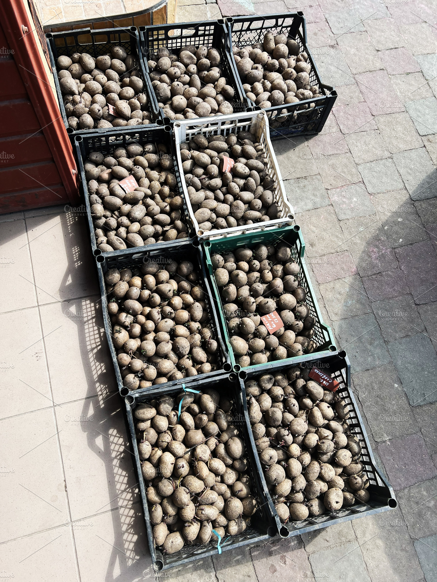 Crates filled with fresh potatoes on a paved store entrance under sunlight, a Photo by AS photostudio