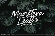 Fentry - Textured Brush Font, a Script Font by StringLabs (Thumbnail 10 of 12)