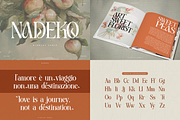 90% OFF! Modern Serif Font Bundle, a Serif Font by Denustudios (Thumbnail 7 of 16)