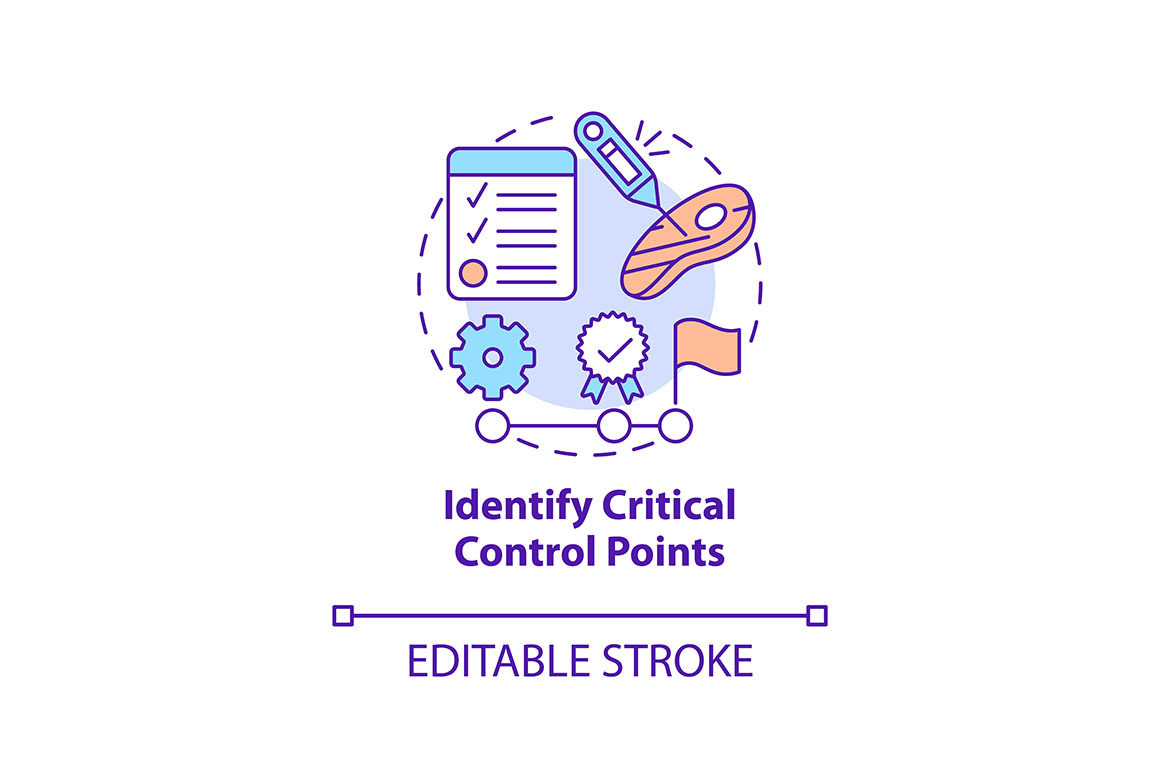 Identify critical control points, an Icon by IMG Visuals