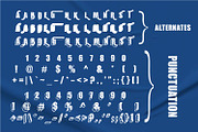 Akroma Font Display Sporty Font, a Sans Serif Font by WhymoreArt (Thumbnail 8 of 10)