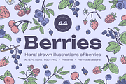 Berries Vector Illustration Pack, an Illustration by Castula (Thumbnail 1 of 17)