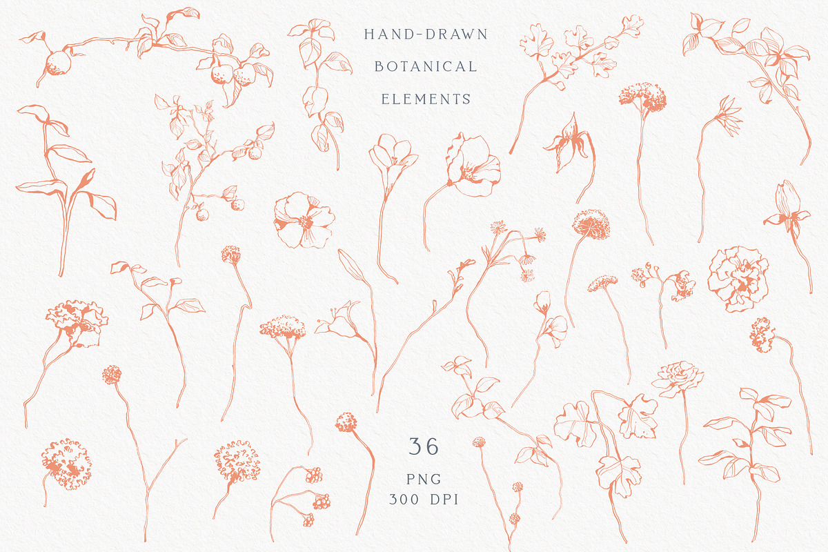Pastel Floral collection, an Illustration by Sensual Art (Photo 4 of 10)