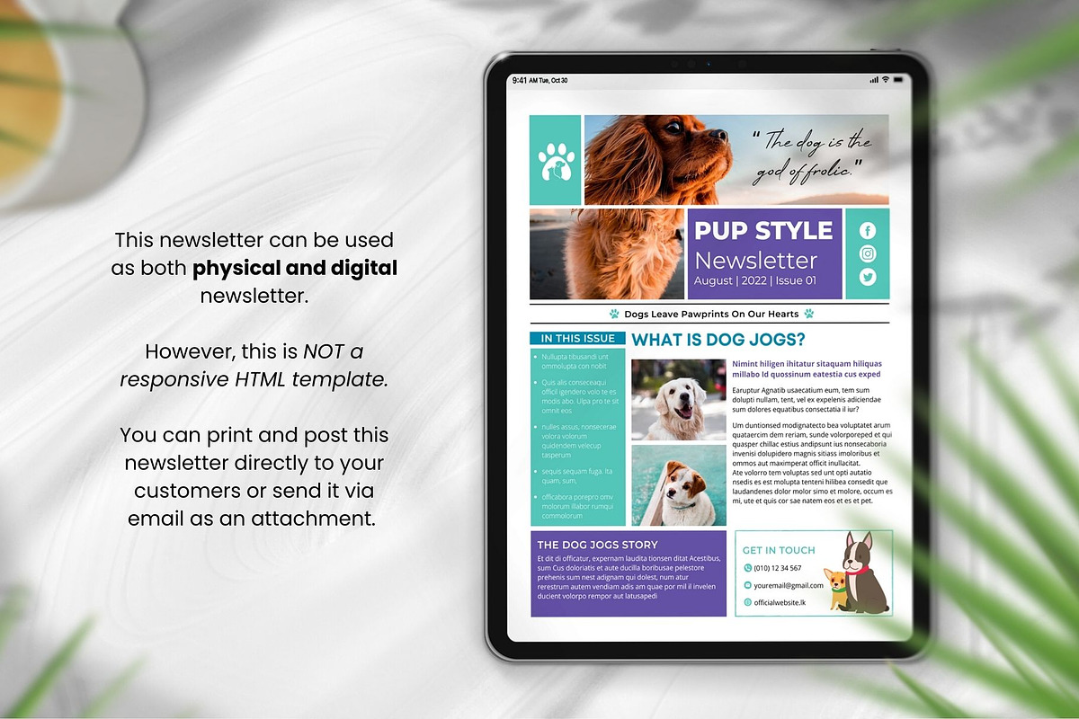 Canva Newsletter Template Dog Pets, an Email Template by PixelCraft (Photo 14 of 15)