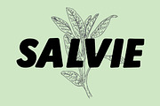 Lonkie, a Sans Serif Font by Jan-Christian Bruun (Thumbnail 2 of 14)