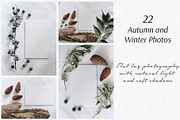 22 Autumn/Winter Flat Lay Photos, a Nature Photo by Helga Wigandt (Thumbnail 1 of 5)