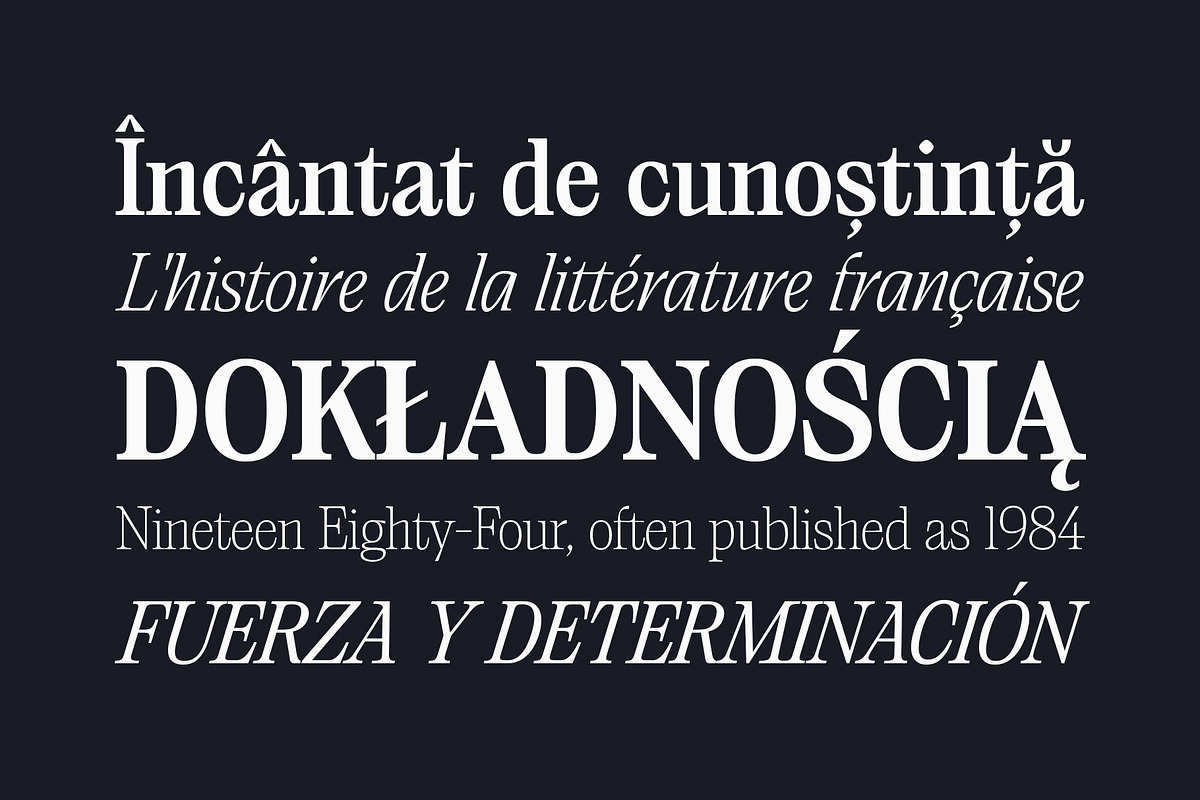 Saigon - Editorial Serif Typeface, a Serif Font by The Paper Town (Photo 8 of 16)