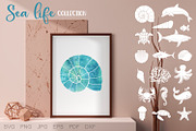 Sea life, an Animal Illustration by KlavaProDesign (Thumbnail 5 of 10)