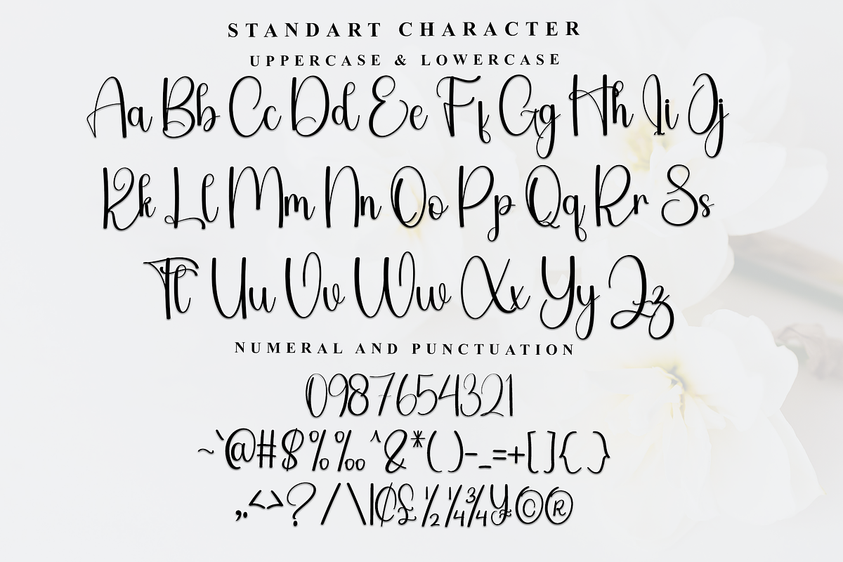 Anything, a Script Font by FreshTypeINK (Photo 3 of 8)