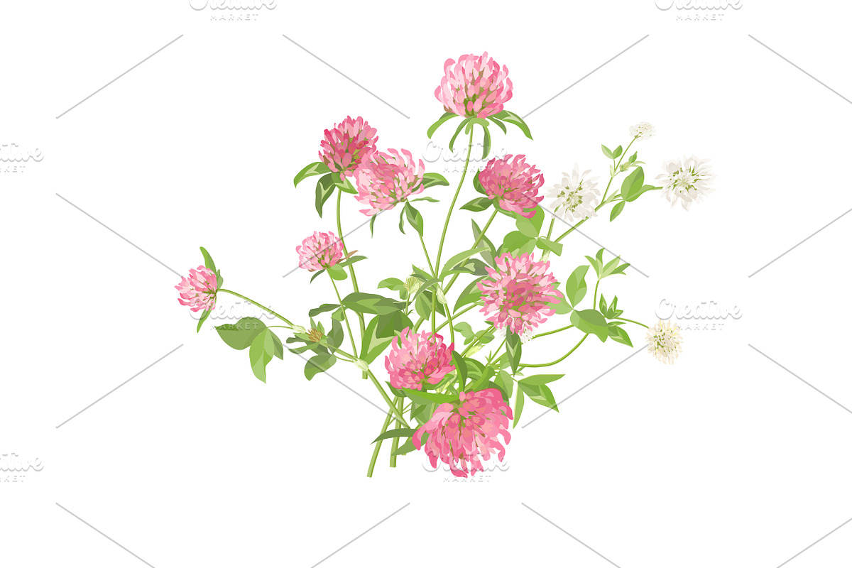 Vector object brushes. Clover, a Brush Add-On by Peolla (Photo 10 of 14)