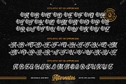 Botanica Whimsy Typeface, a Script Font by alit design (Thumbnail 10 of 20)