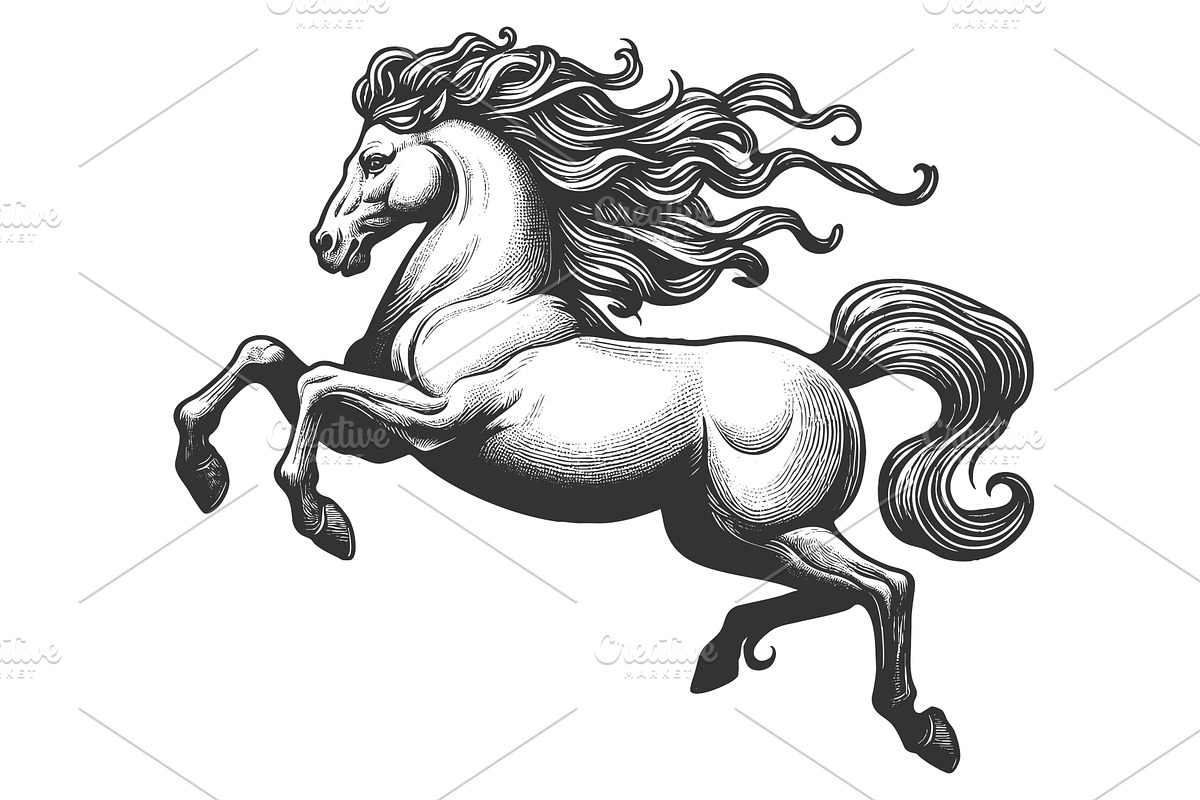 Rearing Horse Flowing Mane vector, an Animal Illustration by AlexArt