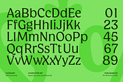 Champie; Soft Serif Font Family, a Serif Font by Eko Bimantara (Thumbnail 5 of 13)