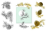 Hand drawn sketch fir with pinecone, a Decorative Illustration by Zimages (Thumbnail 2 of 7)