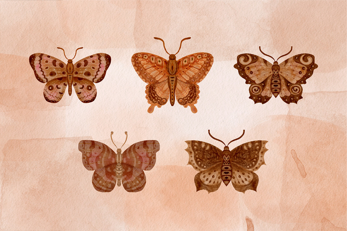 Watercolor Butterflies and Moths, an Object Graphic by Tiger and Flower (Photo 7 of 17)