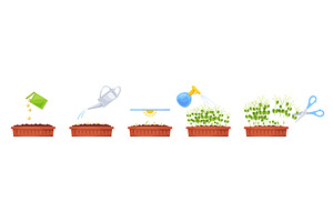 Microgreens growing steps. Fresh, an Object Illustration by YummyBuum