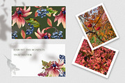 Autumn flowers watercolor clipart, an Illustration by Kate Lanbina (Thumbnail 2 of 22)