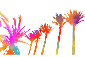 Silhouette Of A Colored Palm Trees