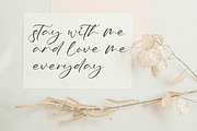 Tiara, a Script Font by Integritype Studio (Thumbnail 7 of 10)