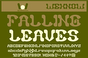 Falling Leaves font, a Font by weknow (Thumbnail 1 of 8)
