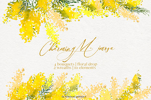 Charming Mimosa - Yellow Flowers PNG