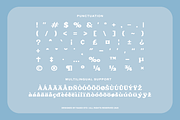 Lamonik Display Serif Font, a Serif Font by Rasio Studio (Thumbnail 3 of 11)