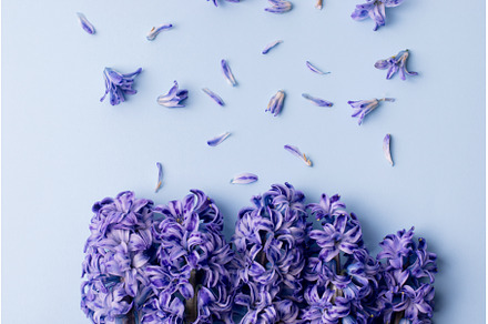Purple Hyacinth Top View, a Nature Photo by JeanBet